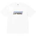 031 white