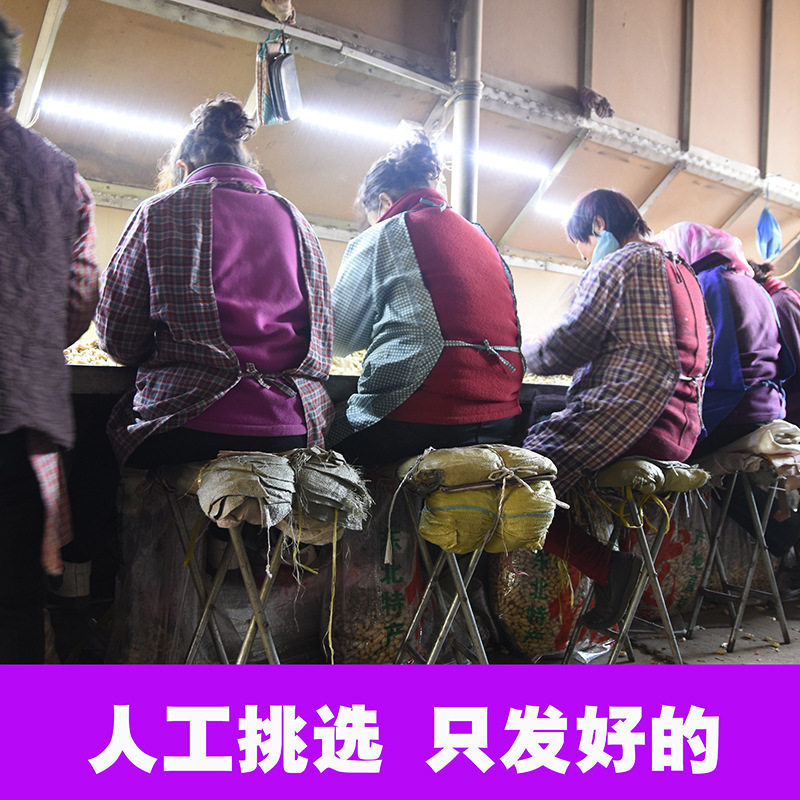 Popular 2023 New Red-Skinned Peanuts, Raw Peanuts, Shelled Sun-Dried Fresh Red-Skinned Roasted Peanuts, New