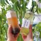 Internet celebrity 500ML milk tea bottle beverage bottle rectangular plastic bottle disposable juice bottle beverage bottle milk tea cup food