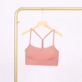 Smoke powder y-shaped vest