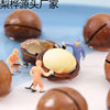 New Arrival Macadamia Nuts 500g Canned Summer Fruit Bulk New Year Dried Fruit Snacks Pecan Nuts Good Products