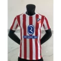 25-26 atletico madrid home court