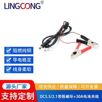 Dc5521 with Magnetic Ring Cable Fish Clip Cable 30A Battery Clip Cable Dc Cable 20Awg 22Awg Customized
