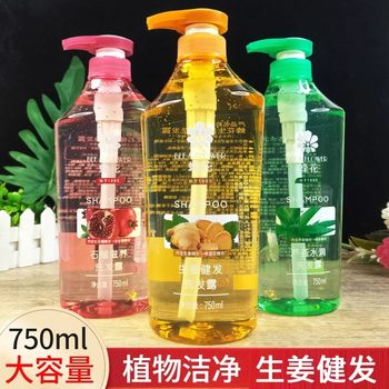 Bee Flower Shampoo Ginger Hair Strengthening Plant Anti-Dandruff Nourishing Pomegranate Herbal Aloe Vera Liquid Floral Fragrance Oil Removal Shampoo