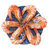 Light Dry Roasted Dried Shrimps Ready-To-Peel Dried Shrimps Dried Seafood Manufacturers Wholesale Large Roasted Dried Shrimps