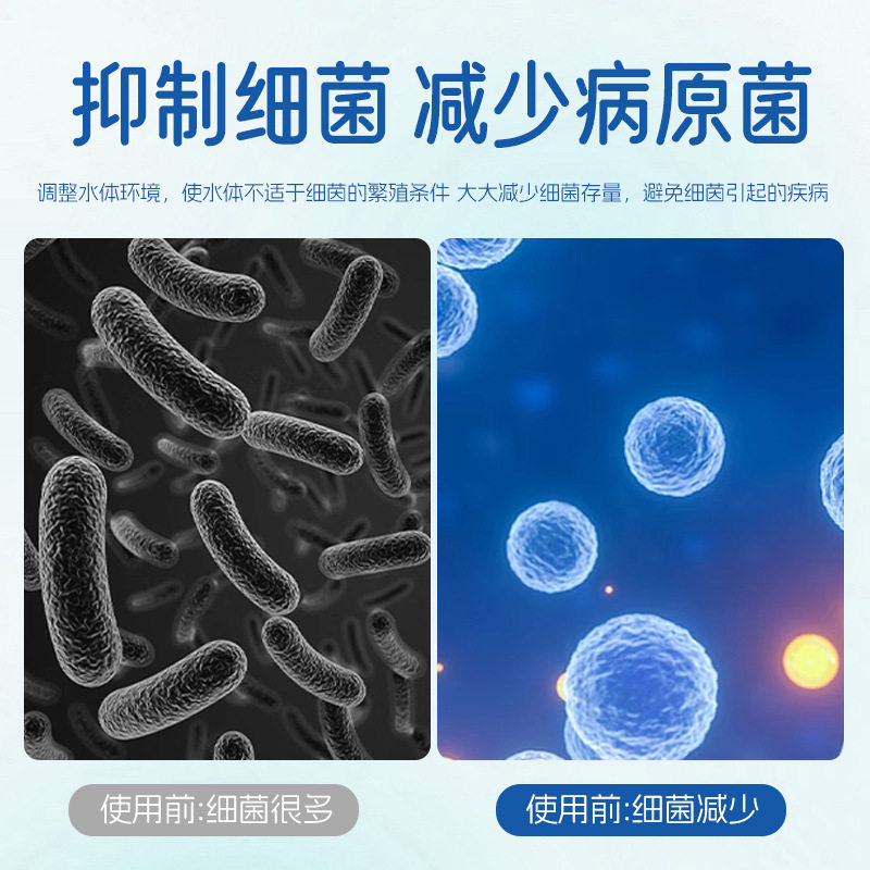 Polymer Water Purification Tablets for Fish Tank Opening, Algae Removal, Water Quality Purification, Softening Salt, Deodorization, Aquarium Same Style