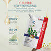 Guangzhou Baiyunshan Baidi Biological Anti-off Shampoo Ginger Polygonum Multiflorum Moisturizing and Fixing Black Hair Hair Regrowing Shampoo