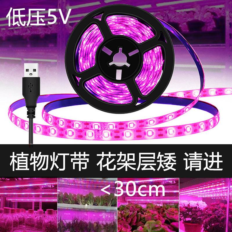 USB 5V Plant Growth Light with 2835 Full Spectrum Waterproof LED Vegetable Flower Fleshy Light Cross-border Heat
