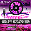 USB 5V Plant Growth Light with 2835 Full Spectrum Waterproof LED Vegetable Flower Fleshy Light Cross-border Heat