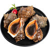 Fresh Large Conch from Qingdao, Fresh Large Shellfish, Qingdao Seafood Specialty, Fresh Aquatic Large Flower Snail