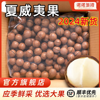 Macadamia nuts 2024 new large particle cream flavor original dried fruit whole box wholesale