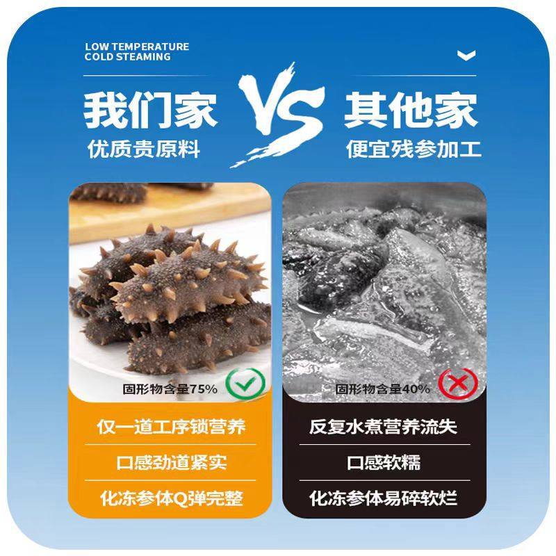 Dalian Seafood Specialty Ready-To-Eat Sea Cucumber Fresh Dried Goods Wild Sea Cucumber Individually Packaged Gift Box Wholesale