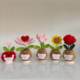 Handmand Emotionlal Support Plant Gift手工编织积极的植物盆栽