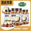 [New Arrival in 25 Years] Macadamia Milk Flavored Nut Snacks Dried Fruit Specialty Roasted Nuts 225