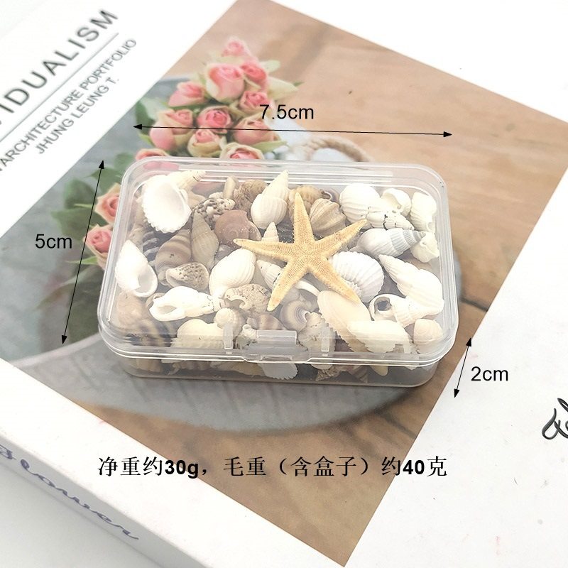 Boxed Natural Shell Small Conch Small Starfish Mixed Material Bag Handmade DIY Jewelry Aromatherapy Candle Wax Pieces