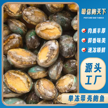 Customized Frozen Abalone Meat with Shell, Cooked Braised Abalone Dishes, Large Quantity Discount, Wholesale from Manufacturers