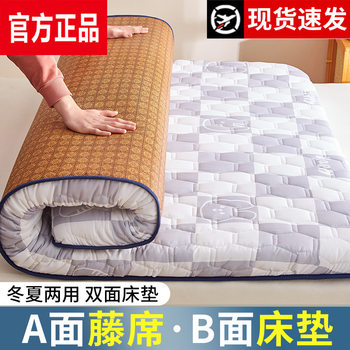 Tatami Summer Four Seasons Winter Mattress Soft Cushion Student Dormitory Single Dual-Use Folding Rental House Mattress