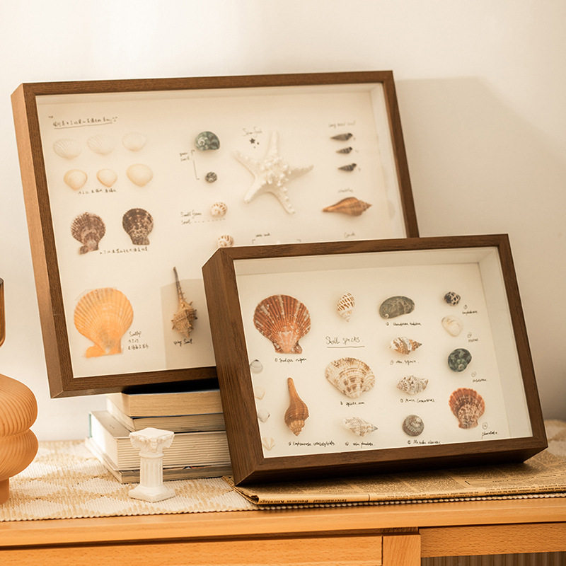 Hollow three-dimensional dried flower photo frame DIY shell conch decorative picture frame manufacturer light painting hollow 5 butterfly specimen frame