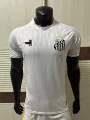 26 santos home kit