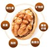 Paper-Skinned Walnuts Xinjiang Thin-Skinned Walnuts 2023 New Arrival Original Raw Walnuts for Pregnant Women Hand-Peeled Roasted Walnuts Walnuts