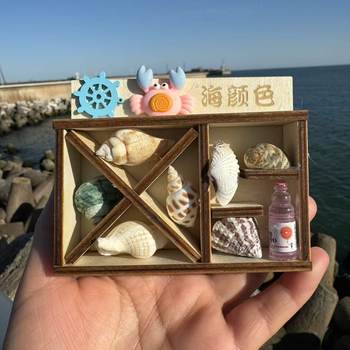 Natural Conch Shell Refrigerator Stickers Souvenir Features DIY Wenchuang Seaside Gift Jewelry Crafts Mediterranean