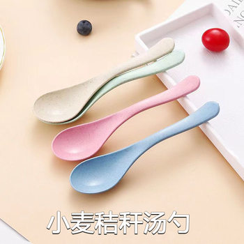 Internet Popular Nordic Spoon Wheat Straw Spoon Household Plastic Small Spoon Cross-border Amazon Tableware Soup Spoon suit