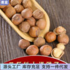 New Wild Large Hazelnuts Hand-Sorted Northeast Specialty Nut Snacks Tieling Water-Drained Roasted Raw Hazelnuts