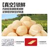 Rainbow Brand Macadamia Nuts 500g Healthy Food for Pregnant Women Australian Macadamia Nuts Original Baked Dried Fruits