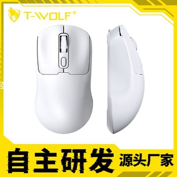 Lewolf Q3 Wireless Bluetooth Mouse Charging 2.4g Silent Office Compact and Practical Laptop Accessories Wholesale
