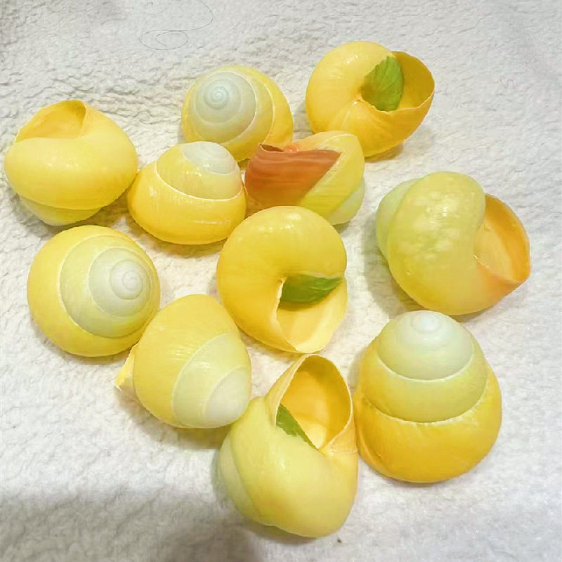Factory direct supply of green and yellow apple snail shell conch hermit crab replacement shell aquarium fish decorative specimen shell