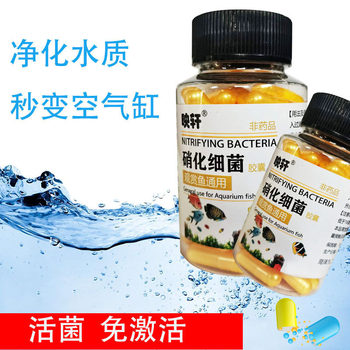 Create air tank to degrade ammonia nitrogen ornamental fish universal nitrifying bacteria capsule fish tank to remove fishy odor to purify water quality