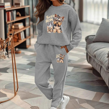 Cross-Border Fashion Women's Autumn and Winter New Casual Loose Two-Piece Sports Suit Sweatshirt