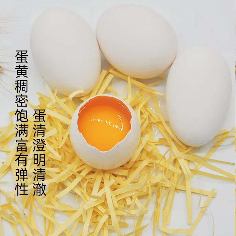 Fresh Farm-Raised Free-Range Goose Eggs for Pregnant Women, Authentic Specialty, Freshly Picked and Shipped, 12 Large Selected Goose Eggs