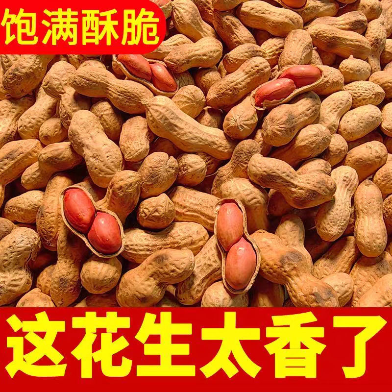 Fried Small Pearl Peanuts in Iron Pan, Freshly Fried New Goods, Full and Crispy, Clean and Soil-Free, Casual Roasted Snacks