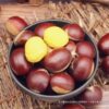 Chestnut Raw Fresh Instant Fresh Dandong Raw Chestnut 5 Jin Seasonal Big Chestnut Raw Chestnut Big Fruit Chestnut