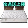 Haima Simmons Mattress Economical 20cm Thick Household Spring Latex Coconut Palm Soft and Hard Dual-Purpose Bedroom Manufacturer