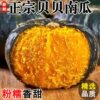 Beibei Pumpkin Fresh Chestnut Flavor Old Pumpkin Sweet Powder Glutinous Baby Pumpkin 4.5kg Free Shipping Fruits and Vegetables