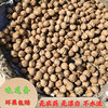 2024 New Wild Old Tree Walnut Original Flavor for Pregnant Women, Non-Paper Thin-Skinned, Farm-Produced, Unbleached 2/ 2.5kg