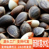 Directly from the Source, Fresh Raw Pine Nuts from Yunnan, Natural Flavor, Large Kernels, Snacks, Nuts, Original Flavor, New Stock