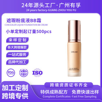 Cross-Border Liquid Foundation, Popular Air-Lasting Makeup and Skin-Nourishing Liquid Foundation, Concealer Liquid Foundation, Customized Oem, Free Sample