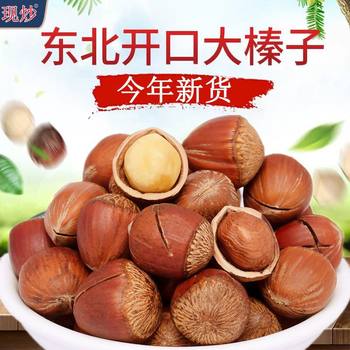 New Northeast large hazelnut plain thin skin fried wild nuts specialty dried fruit snacks wholesale