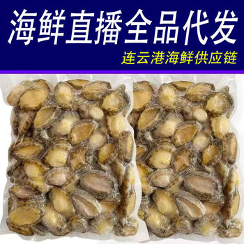 Fresh Frozen Abalone Meat, Shelled Seafood, Aquatic Products, Hotel Banquet Commercial Ingredients, Wholesale Spot, Sf Direct Delivery