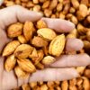 Almonds in Bags, Net Weight 500g, Dried Almond Nuts, Bulk Snacks, Gift Pack, Wholesale, Good Quality, Large Kernels