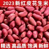 Red-Skinned Peanuts, Raw Peanuts, Farm-Produced Peanuts, New Arrivals for the Year, Four Pieces of Self-Produced Small Peanuts, Wholesale New