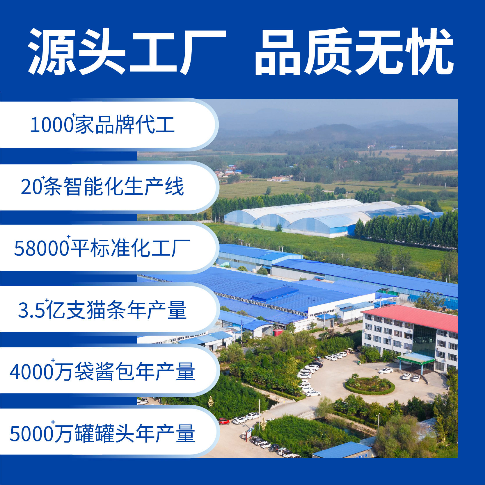 Shandong Paisen Wholesale Pet Dry Food Cat and Dog Baked Food Air-Dried Food Source Factory