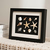 Handmade DIY Photo Frame Stereo Hollow Specimen Table Decoration Frame Shell Stone Plant Dried Flower Preservation Display Frame