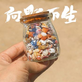 Wishing Bottle with 6 Kinds of Ultra-Small Conch Shells, Starfish, Glass Sand Combination, Natural Specimens, Handmade DIY Decorative Ornaments