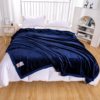 New 500g Simple Double-Sided Thickeneded Technology Warm Velvet Blanket Dormitory Lunch Break Blanket Single and Double Bed Home Blanket