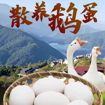 Farm Goose Eggs 12 Pieces 80-100g Fresh Eggs on the Same Day, Free-Range Goose Eggs, Fetal Poison, Big Appetite, Fresh for Pregnant Women