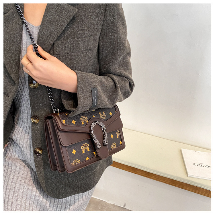 French Niche Bags for Women New Trendy Autumn and Winter Chain Shoulder Crossbody Bag Printed Small Square Bag Retro Style 10 undefined